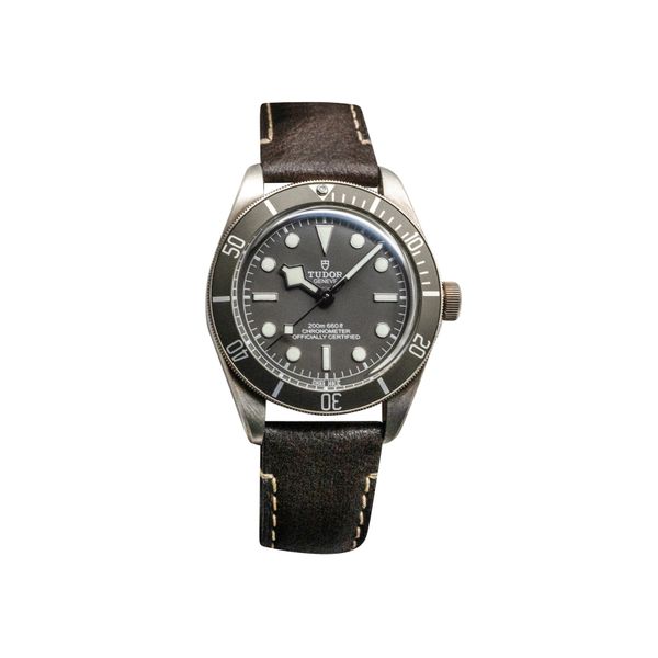 Tudor Black Bay 58 M79010SG-0001